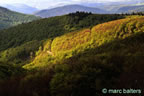 cevennes, printemps 2026,